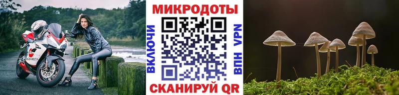 что такое наркотик  ОМГ ОМГ   Псилоцибиновые грибы прущие грибы  Иланский 